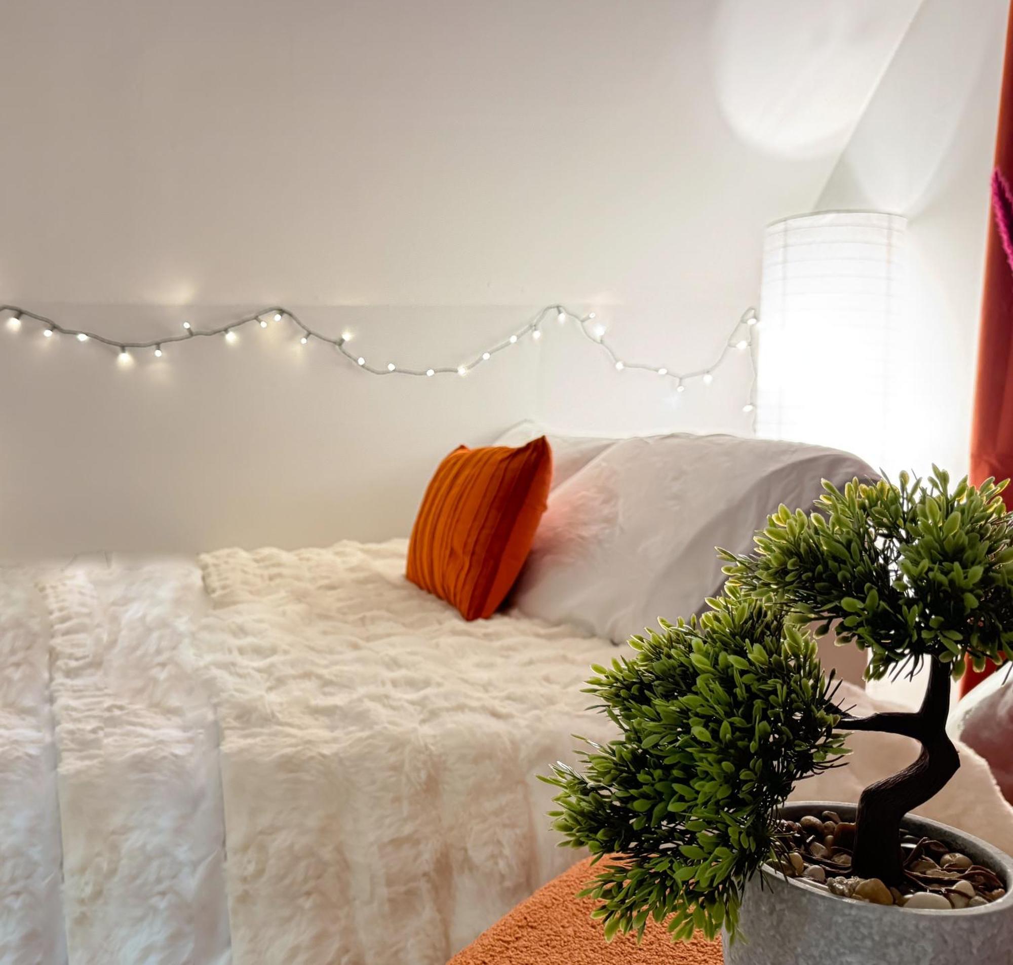 Apartmán La Douceur - Hypercentre Pieton De Troyes - Cozy Exteriér fotografie