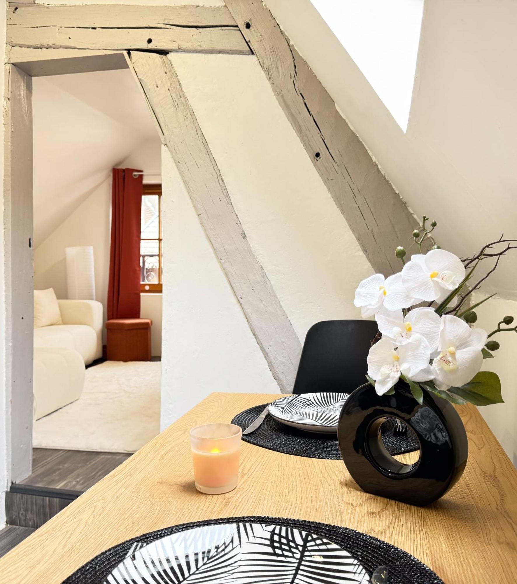 Apartmán La Douceur - Hypercentre Pieton De Troyes - Cozy Exteriér fotografie